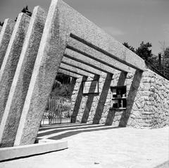 1965, Villányi Gergely, Fortepan #313250