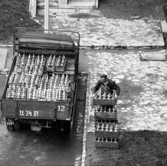 1965, Villányi Gergely, Fortepan #313253