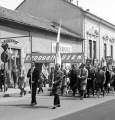 1965, Villányi Gergely, Fortepan #313254