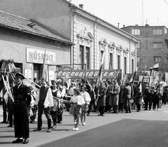 1965, Villányi Gergely, Fortepan #313255