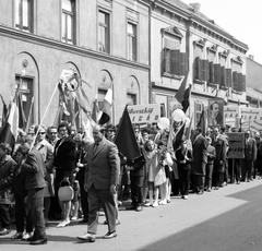 1965, Villányi Gergely, Fortepan #313257