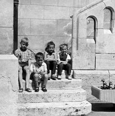 1965, Villányi Gergely, Fortepan #313260