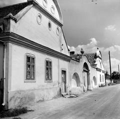 1965, Villányi Gergely, Fortepan #313268