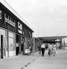 1965, Villányi Gergely, Fortepan #313270