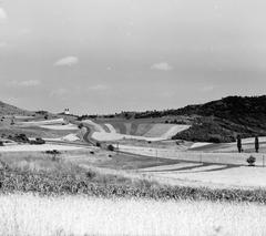 1965, Villányi Gergely, Fortepan #313271