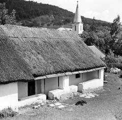 1965, Villányi Gergely, Fortepan #313272