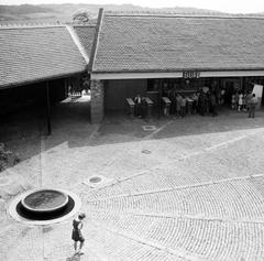 1969, Villányi Gergely, Fortepan #313273