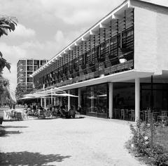 1969, Villányi Gergely, Fortepan #313277