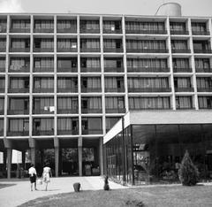 1969, Villányi Gergely, Fortepan #313278