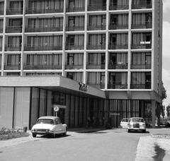 1969, Villányi Gergely, Fortepan #313279