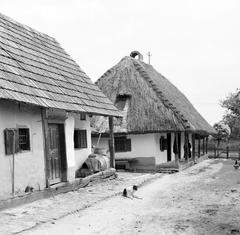 1969, Villányi Gergely, Fortepan #313283