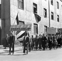 1965, Villányi Gergely, Fortepan #313292