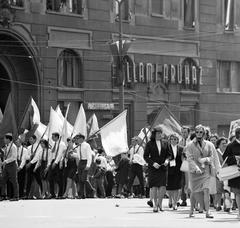 1965, Villányi Gergely, Fortepan #313300