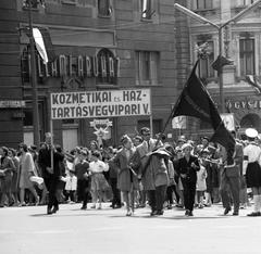 1965, Villányi Gergely, Fortepan #313301