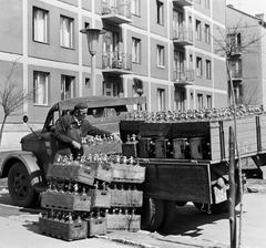 1965, Villányi Gergely, Fortepan #313316