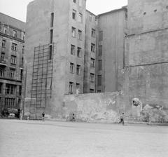 1963, Villányi Gergely, Fortepan #313324