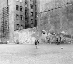 1963, Villányi Gergely, Fortepan #313325