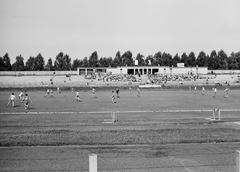 1963, Villányi Gergely, Fortepan #313329