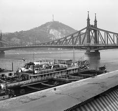 1963, Villányi Gergely, Fortepan #313331