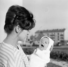 1966, Fortepan #313335