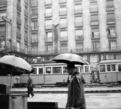 1963, Villányi Gergely, Fortepan #313336