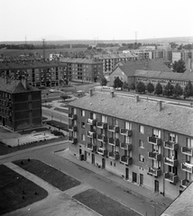 Magyarország, Ajka, Frankel Leó utca, túloldalon az általános iskola., 1966, Építésügyi Dokumentációs és Információs Központ, VÁTI, lakótelep, utcakép, Tanácsköztársaság, Fortepan #31362