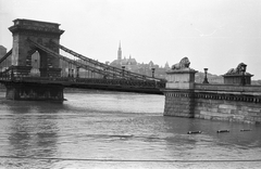 Magyarország, Budapest V., pesti alsó rakpart a Széchenyi Lánchíd hídfőjénél., 1965, Pálinkás Zsolt, híd, árvíz, pad, hídfő, Duna, Budapest, függőhíd, William Tierney Clark-terv, víz, Fortepan #31491