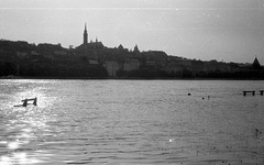 Magyarország, Budapest V., pesti alsó rakpart a Széchenyi István (Roosevelt) térnél., 1965, Pálinkás Zsolt, napsütés, víztükör, árvíz, látkép, Duna, Budapest, Fortepan #31498