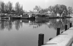 Magyarország,Balaton, Siófok, kikötő., 1966, Pálinkás Zsolt, hajó, komp, víztükör, kikötő, vízibusz, Vár-Kert/Hegyalja/Tihany hajó, Csongor hajó, Fortepan #31516