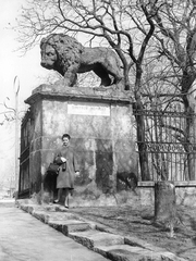 Magyarország, Gyöngyös, Kossuth Lajos utca, az Orczy-kastély kertjének (ekkor Dimitrov-népkert) kapuja, pillérén kőoroszlánnal., 1966, Pálinkás Zsolt, kapu, szobor, kerítés, nő, Fortepan #31527