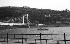 Magyarország, Budapest, a Gellérthegy és az Erzsébet híd a Petőfi tér felől., 1967, Pálinkás Zsolt, hajó, korlát, Duna, Kuka hajó, függőhíd, Duna-híd, Szent Gellért-ábrázolás, Sávoly Pál-terv, Fortepan #31591