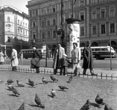 Magyarország, Budapest VIII., József körút, háttérben a József utca torkolata., 1959, Bartók István, család, autóbusz, plakát, magyar gyártmány, korlát, utcakép, életkép, Ikarus-márka, madár, hirdetőoszlop, buszmegálló, Ikarus 66, galamb, Budapest, Fortepan #31646