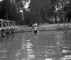 Magyarország, Balatonfenyves, 1959, Beyer Norbert, fürdőzés, vízpart, Fortepan #31681