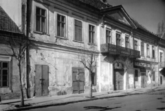 Hungary, Szeged, Roosevelt tér, Schäffer-ház., 1947, Kozma János, store display, Fortepan #31943