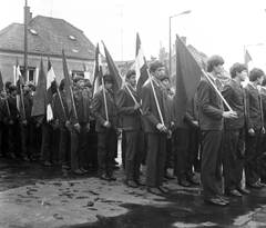 Magyarország, Kőszeg, május 1-i felvonulás, résztvevői a mai Károly Róbert téren, balra a háttérben a Várkör 64-es számú ház., 1976, Baráth Endre, zászló, május 1, Fortepan #31993