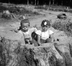 1936, Fortepan, tree stump, boys, Fortepan #32139