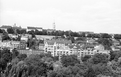 Magyarország, Budapest I., a Tóth Árpád sétány és a nyugati várlejtő, előtérben az Attila út házai a Buda-Penta hotelből nézve., 1984, Építésügyi Dokumentációs és Információs Központ, VÁTI, templom, városkép, várfal, Budapest, Fortepan #32236