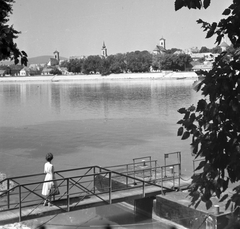 Magyarország, Szentendre, a szigetmonostori rév felől., 1968, Építésügyi Dokumentációs és Információs Központ, VÁTI, stég, Fortepan #32381