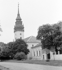 Magyarország, Nagykőrös, református templom., 1969, Építésügyi Dokumentációs és Információs Központ, VÁTI, Fortepan #32517