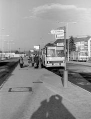 Magyarország, Szentendre, autóbusz-végállomás., 1977, Déri György, autóbusz, magyar gyártmány, Ikarus-márka, buszpályaudvar, autóbuszállomás, Ikarus 266, Fortepan #32729