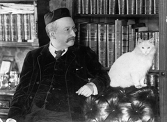 Hungary, Tóth Béla író, újságíró (1857-1907)., 1902, GGAABBOO, portrait, celebrity, tranquillity, book, cat, moustache, literature, cap, bookshelf, prop up on elbows, Fortepan #32794