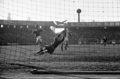 Magyarország, Budapest IX., Üllői út, FTC stadion, MTK-Slavia Praha (felemás mezben) 7:0, húsvéti torna mérkőzés 1949. április 18-án. Palotás gólt lő, a Slavia kapusa Kabicsek., 1949, Kovács Márton Ernő, sport, labdarúgás, Budapest, Fortepan #32880