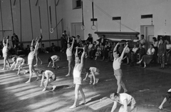 Magyarország, Budapest XII., Győri út 13., Magyar Testnevelési Főiskola (később Testnevelési Egyetem) tornacsarnoka., 1949, Kovács Márton Ernő, torna, tornaterem, parketta, hónaljkutya, Budapest, Fortepan #32935