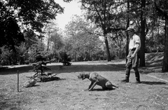 Magyarország, Gödöllő, a MÁLLERD (Magyar Állami Erdőgazdasági Üzemek) kutyatelepe, ifj. Jilly Bertalan telepvezető magyar vizslát idomít., 1949, Kovács Márton Ernő, kutya, nyúl, vizsla, Bilgeri csizma, Fortepan #32938