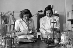 Magyarország, Budapest IX., Gyáli út 3/a, Élelmezéstudományi Intézet, élelmiszervizsgáló laboratórium., 1949, Kovács Márton Ernő, Bunsen-állvány, lombik, pipetta, Budapest, hölgy, Fortepan #32941