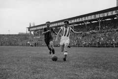 Magyarország, Budapest IV., Újpest, Megyeri út, UTE stadion, Újpest-Szeged (5:1) bajnoki mérkőzés, Nagy J., az Újpest csatára kapura tör, mellette Szabó., 1949, Kovács Márton Ernő, Budapest, híres ember, labdarúgás, Fortepan #32959