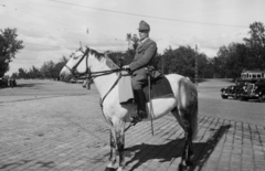 Magyarország, Budapest IX., Üllői út - Könyves Kálmán körút kereszteződés, jobbra hátul a Népliget, előtérben egy lovasrendőr., 1949, Kovács Márton Ernő, rendőr, villamos, lovasrendőr, Budapest, Fortepan #33042