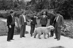 Magyarország, Budapest XII., Béla király út 30., Dolgozó Parasztok és Földmunkások Országos Szövetsége (DÉFOSZ) Szabadsághegyi iskola parkja. Mintagazdák utazás előtti gyülekezése, akiket a Szovjetunió meghívott a világ leghaladottabb földművelésének tanulmányozására., 1949, Kovács Márton Ernő, kutya, Budapest, tanulás, gazdaság, földművelés, Fortepan #33076