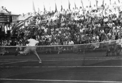 Hungary, Budapest X., Salgótarjáni (Tomcsányi) út, Gázművek teniszpálya, Magyarország - Svájc (5:0) Davis kupa mérkőzés., 1949, Kovács Márton Ernő, tennis, Budapest, Fortepan #33118