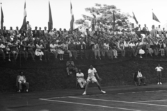 Hungary, Budapest X., Salgótarjáni (Tomcsányi) út, Gázművek teniszpálya, Magyarország - Svájc (5:0) Davis kupa mérkőzés., 1949, Kovács Márton Ernő, tennis, Budapest, Fortepan #33119